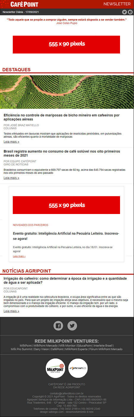 Formato Newsletter Anuncie